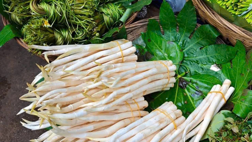Củ ngà voi lớn nhanh như thổi, hái bán thu tiền mỏi tay